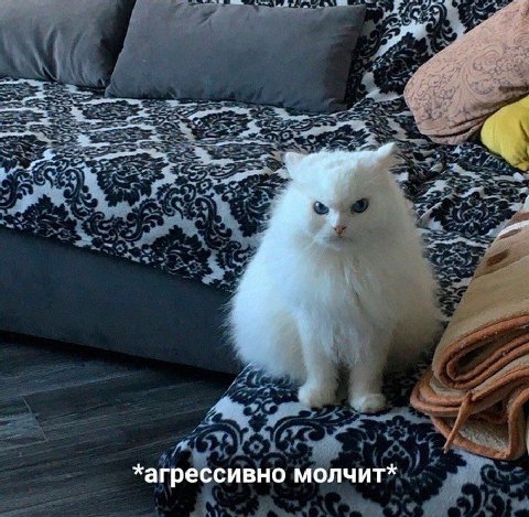 *агрессивно молчит*
