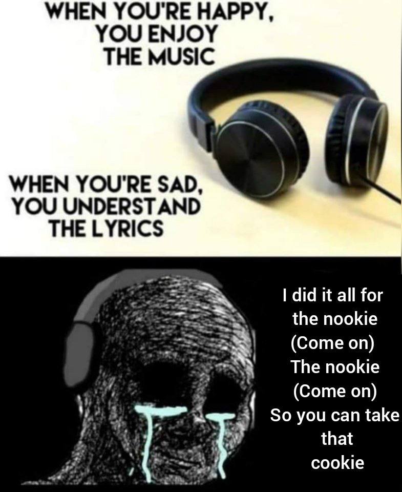 WHEN YOU'RE HAPPY, YOU ENJOY THE MUSIC WHEN YOU'RE SAD, YOU UNDERSTAND THE LYRICS did it all for 1 the nookie (Come on) The nookie (Соте К So you can take that cookie he