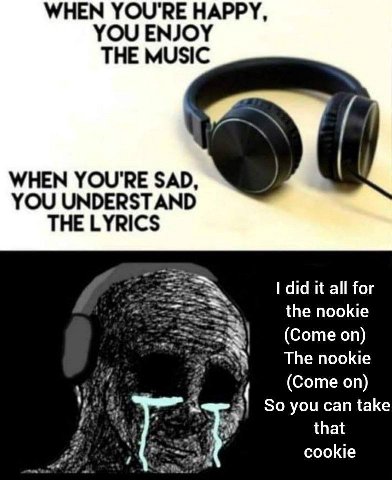 WHEN YOU'RE HAPPY, YOU ENJOY THE MUSIC WHEN YOU'RE SAD, YOU UNDERSTAND THE LYRICS did it all for 1 the nookie (Come on) The nookie (Соте К So you can take that cookie he
