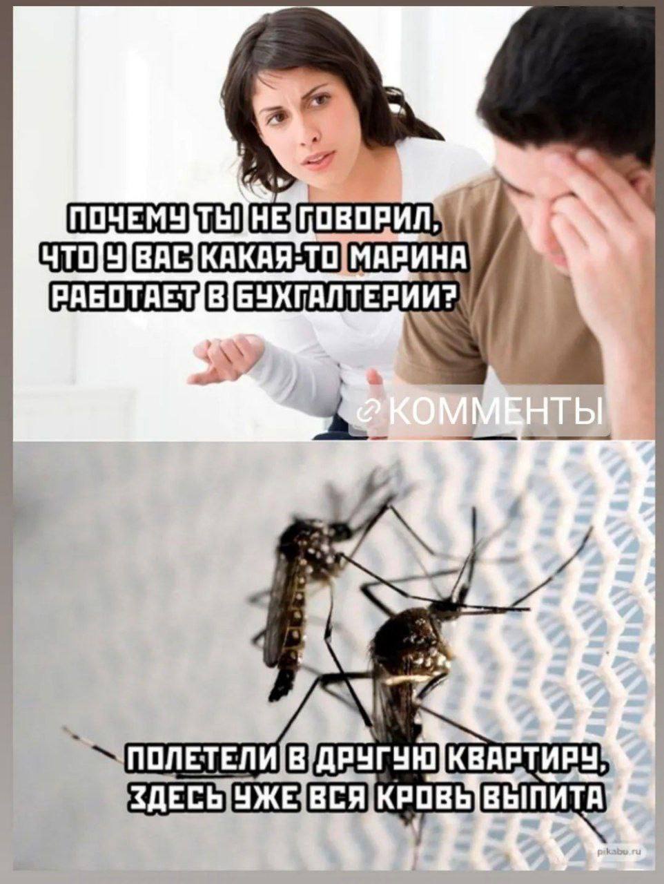 ГОВОРИЛ МАРИНА |БУХГАЛТЕРИ И A