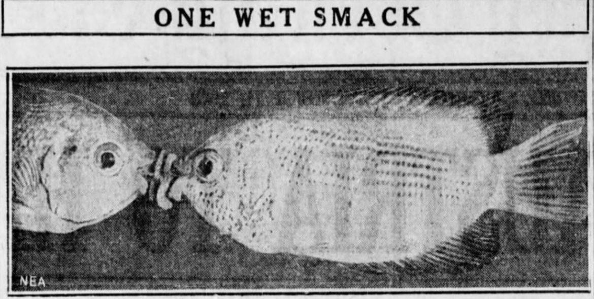 ONE WET SMACK 4 i #23 МЕА