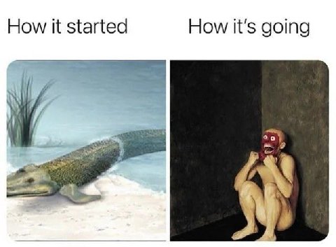 How it started How it's going