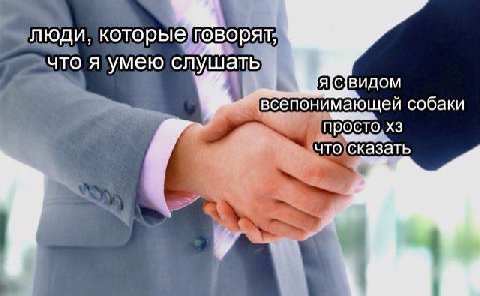 люди, что я умею слушать 4 всепонимающей собаки просто что сказать