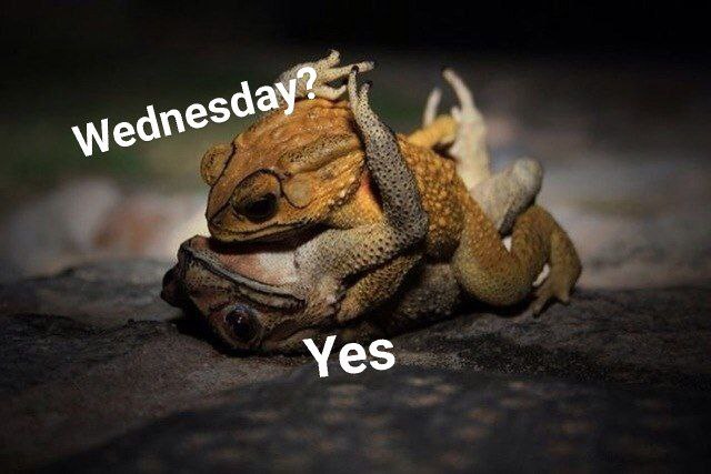 Yes