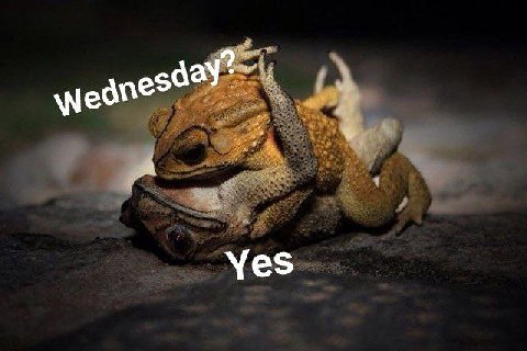Yes
