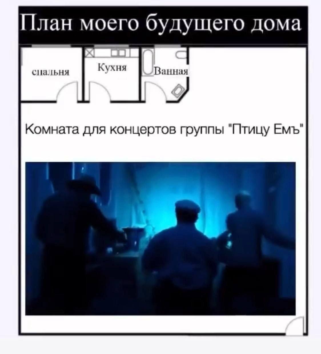 План моего будущего дома сиальня Кухня Ванная Комната для концертов группы "Птицу Емъ"