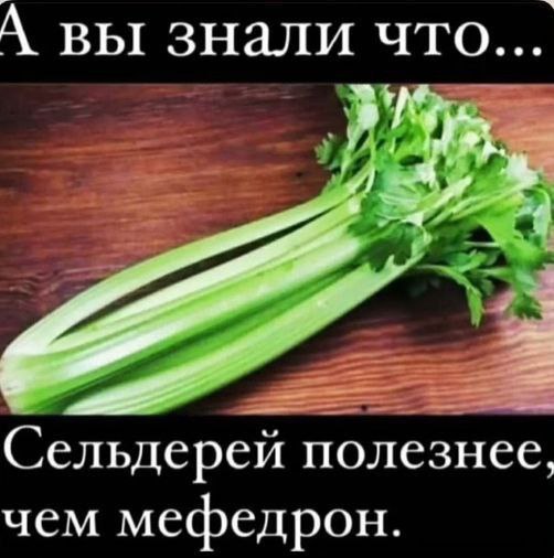 А вы знали что... Сельдерей полезнее, чем мефедрон.