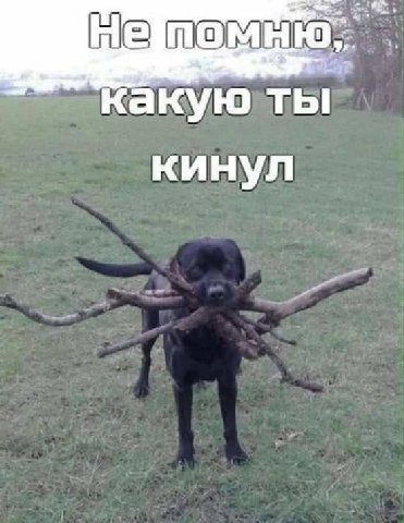 какую ты кинул