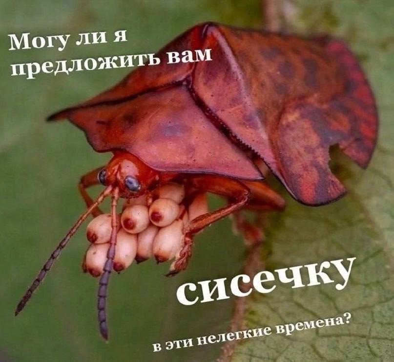 Могу ли 4 предложить вам 4 сисечку вэти нелегкие времена?