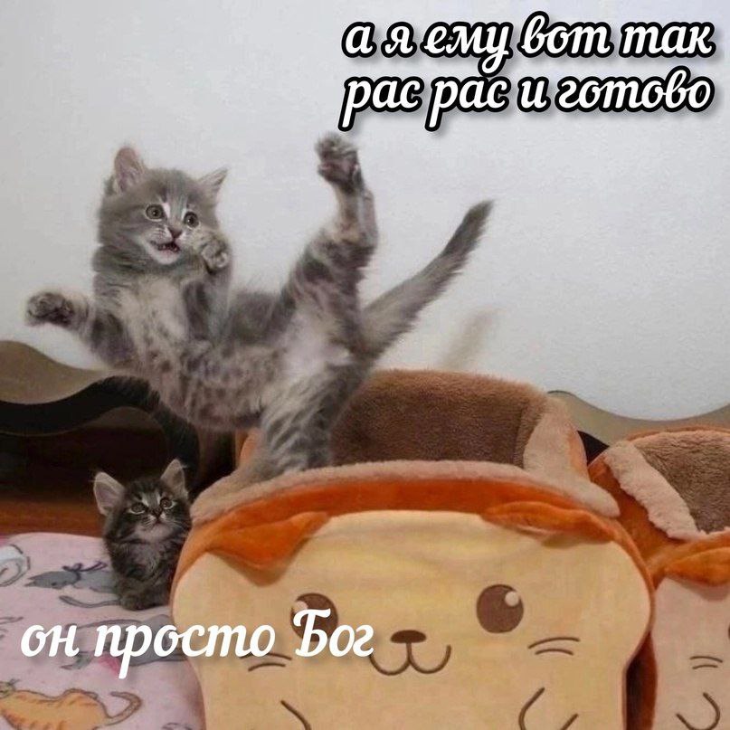 бот pac pac 4 1, a -я a он просто Бог
