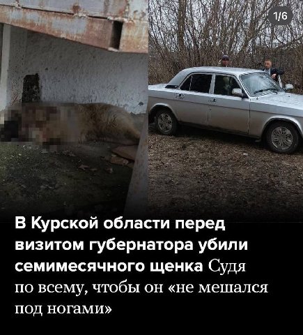 мне не нужна терапия 
я хочу чтобы они за все заплатили