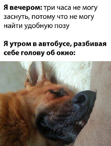 Я вечером: три часа не могу заснуть, потому что не могу найти удобную позу Я утром в автобусе, разбивая себе голову об окно: