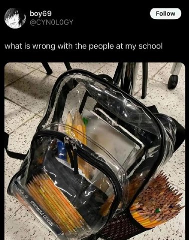 boy69 @CYNOLOGY what is wrong with the people at my school INS у