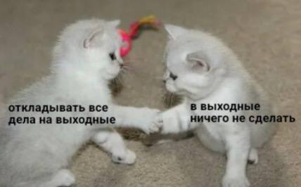 откладывать все в выходные цела на выходные ичего не