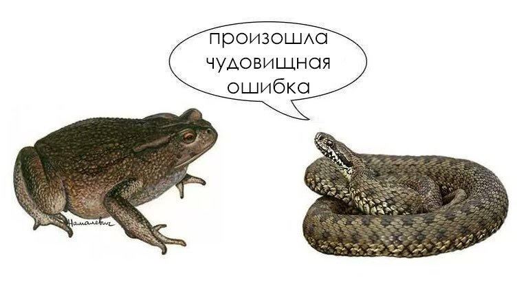 произошла чудовищная ошибка of