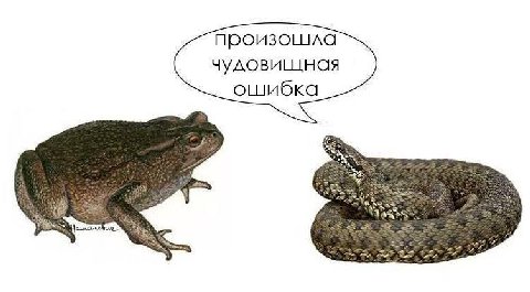 произошла чудовищная ошибка of