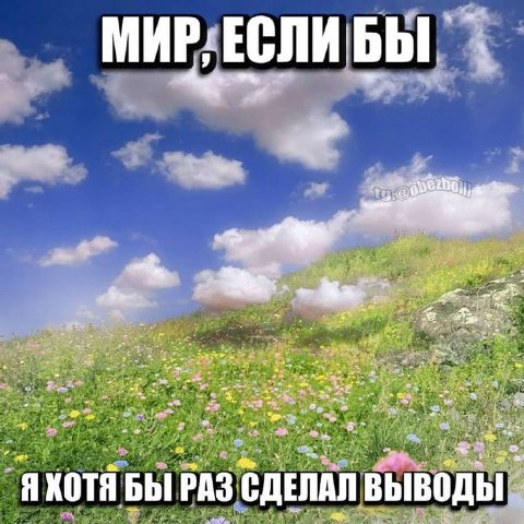 3 Я ХОТЯ БЫ РАЗ СДЕЛАЛ ВЫВОДЫ