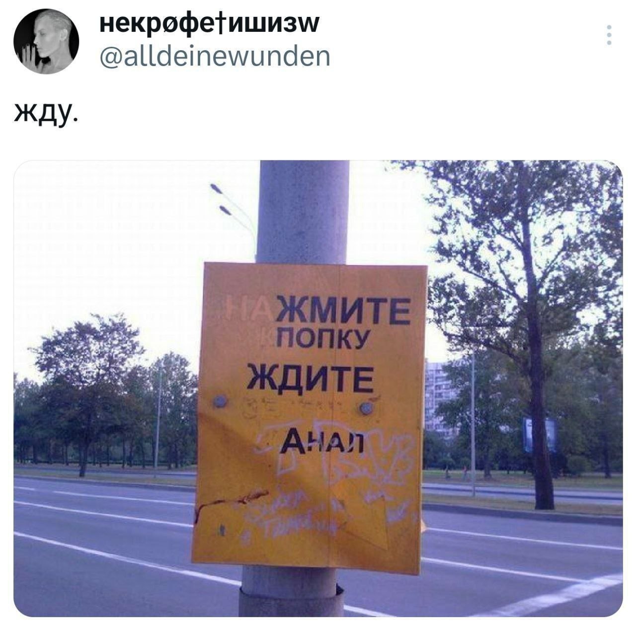 некрофетишизм/ @alldeinewunden жду.