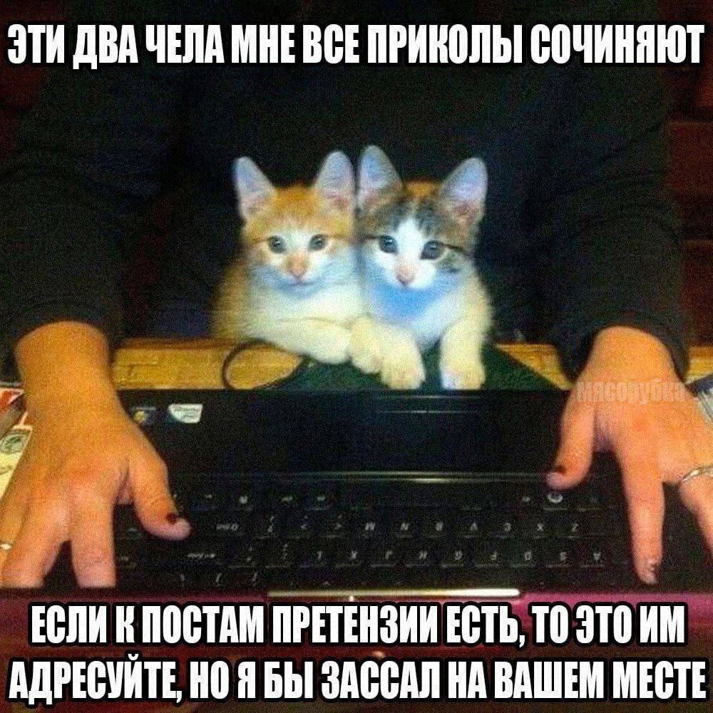 ЭТИ ДВА ЧЕЛА МНЕВСЕ ПРИНОЛЬ СОЧИНЯЮТ ПОСТАМ ПРЕТЕНЗИИ ЕСТЬ, ТО ЭТО АДРЕСУЙТЕ, НОЯ БЫ ЗАССАЛ НА ВАШЕМ МЕСТЕ