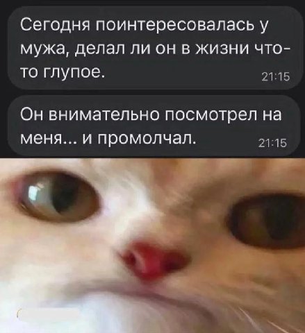 Сегодня поинтересовалась у мужа, делал ли он в жизни что- то глупое. 21:15 Он внимательно посмотрел на меня... и промолчал. 21:15