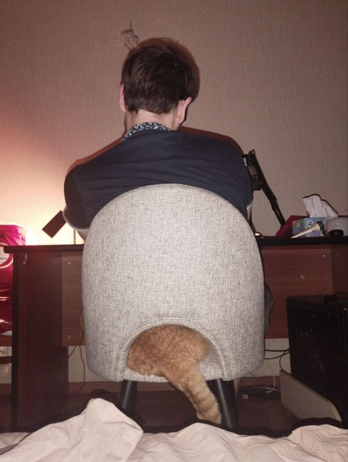 у a 7 у и К. 4