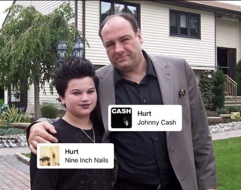 4 Hurt Johnny Cash Hurt or Nine Inch Nails