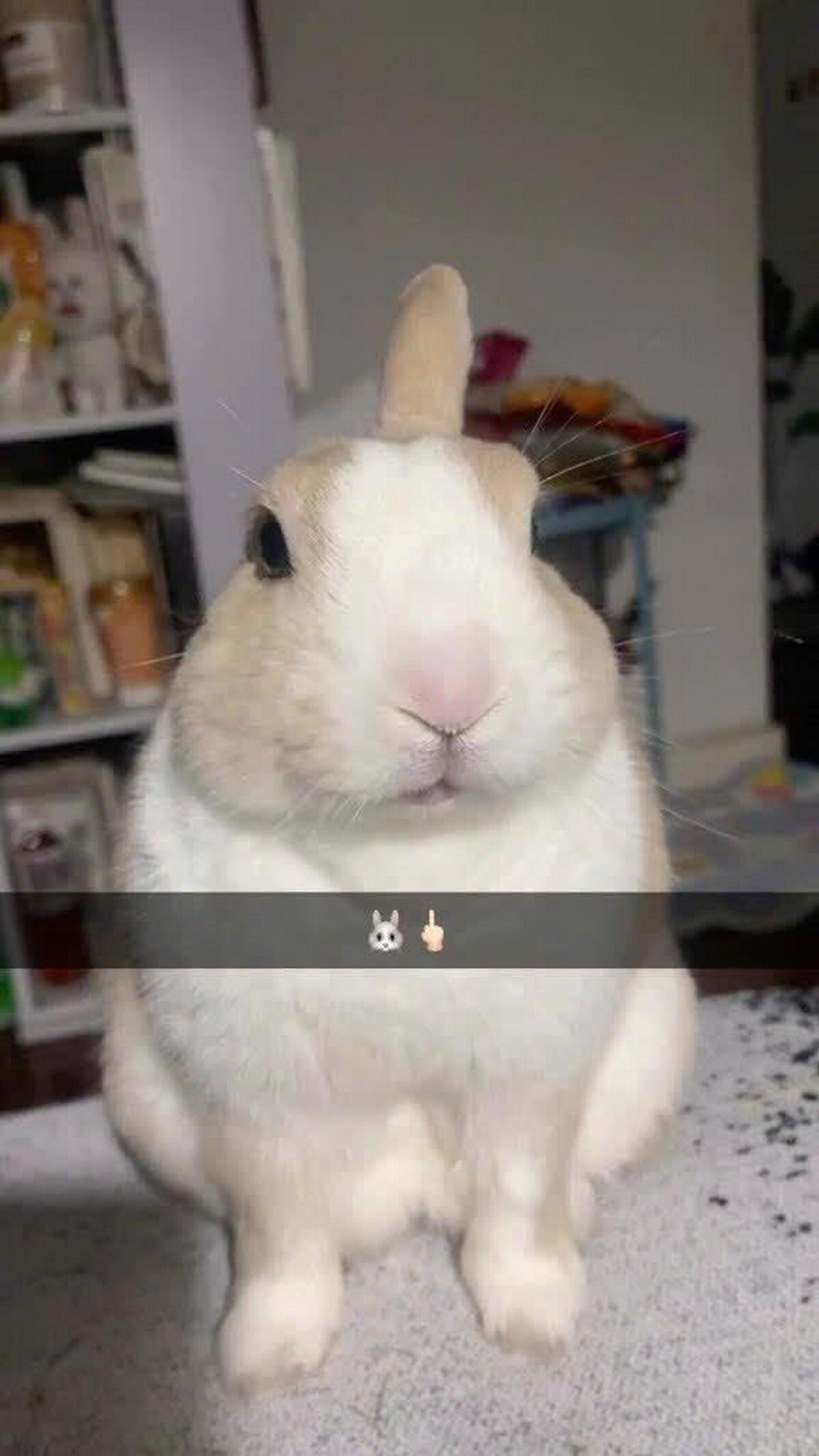 3 я a iss poe bea