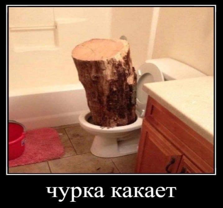 чурка какает