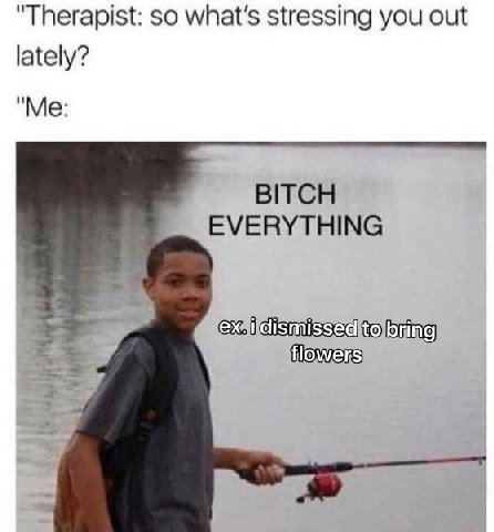 "Therapist: so stressing you out lately? "Me: BITCH EVERYTHING to