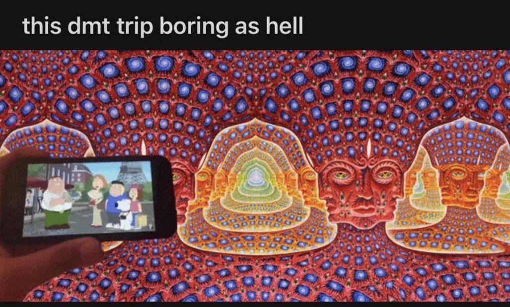 this dmt trip poring as hell
