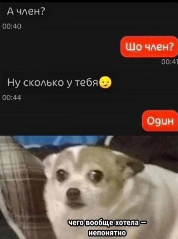 А член? член? Ну сколько у тебя OQUH чего вообще хотела