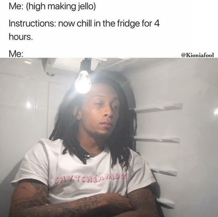 (high making jello) Instructions: now chill in the fridge for 4 hours. Me: @Kioniafool