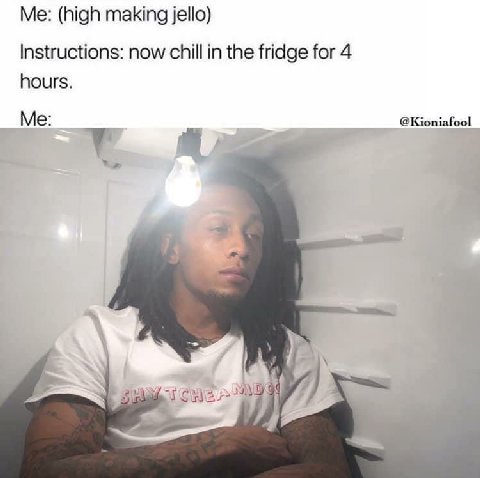 (high making jello) Instructions: now chill in the fridge for 4 hours. Me: @Kioniafool