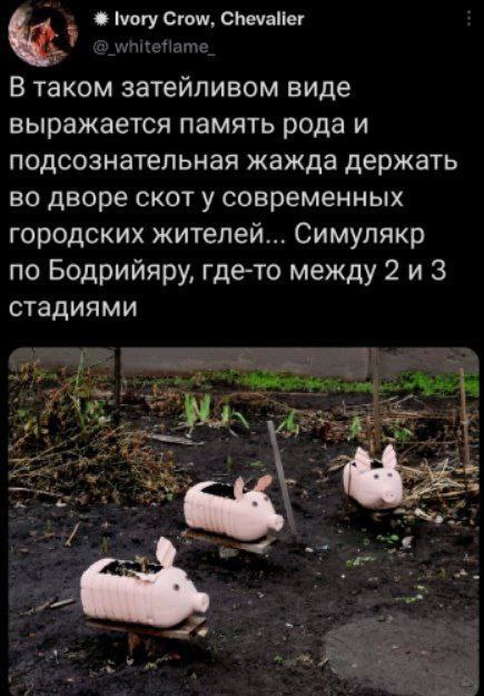 Ivory Crow, Chevalier В таком затейливом виде выражается память рода и подсознательная жажда держать во дворе скот у современных городских жителей... Симулякр по Бодрийяру, где-то между 2 стадиями (2