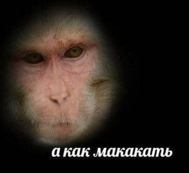 акак макакать