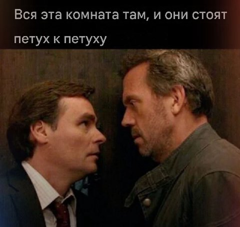 Вся эта комната там, и они стоят петух к петуху