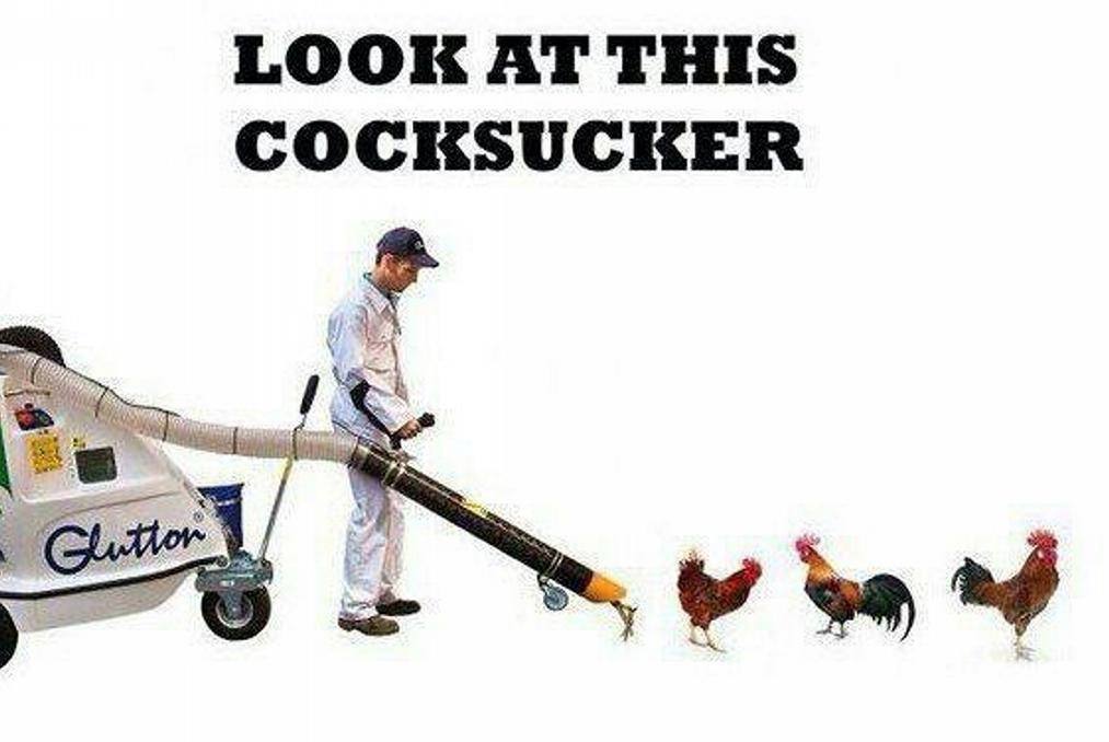 LOOK THIS COCKSUCKER