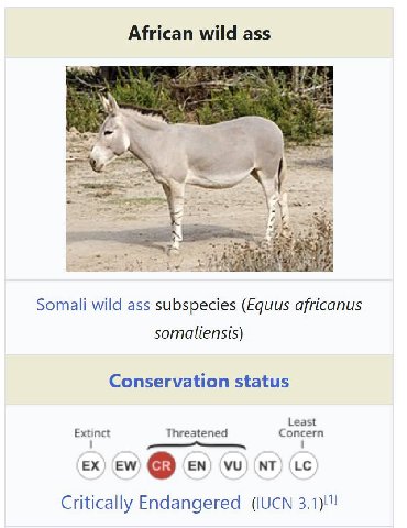 African wild ass #7 Somali wild ass subspecies (Equus africanus somaliensis) Conservation status Least Extinct Threatened Concern Critically Endangered (IUCN