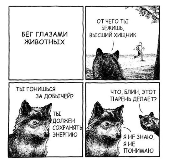 ОТЧЕГО ТЫ БЕЖИШЬ, БЕГ ГЛАЗАМИ ВЫСШИЙ ХИЩНИК ЖИВОТНЫХ ТЫ ГОНИШЬСЯ ЧТО, БЛИН, ЭТОТ ЗА ДОБЫЧЕЙ? ПАРЕНЬ ДЕЛАЕТ? ТЫ ДОЛЖЕН СОХРАНЯТЫ [44 ЭНЕРГИЮ Я НЕ ЗНАЮ SHE ПОНИМАЮ