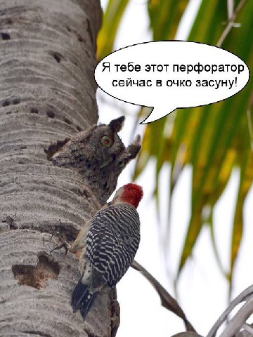 Я тебе этот перфоратор сейчас в очко засуну!
