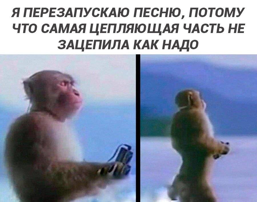 Я ПЕРЕЗАПУСКАЮ ПЕСНЮ, ПОТОМУ ЧТО САМАЯ ЦЕПЛЯЮЩАЯ ЧАСТЬ НЕ ЗАЦЕПИЛА КАК НАДО