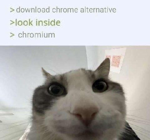 chrome alternative inside chromium
