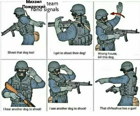 Михаил {еат ский. signals Shoot that dog too! I get to shoot their dog! house, kill this dog. a wily hear another dog to shoot! see another dog to shoot! That chihuahus has a gun!