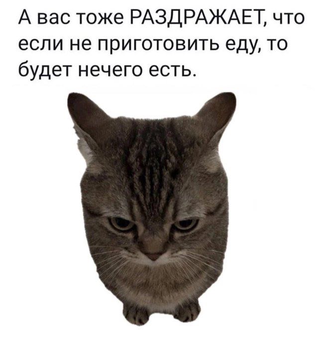 А вас тоже РАЗДРАЖАЕТ, что если не приготовить еду, то будет нечего есть.
