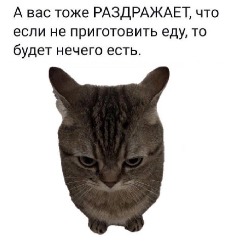 А вас тоже РАЗДРАЖАЕТ, что если не приготовить еду, то будет нечего есть.