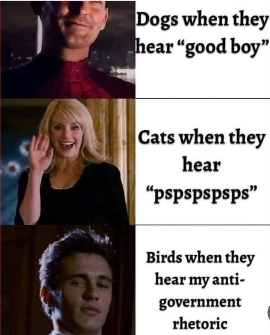 Dogs when they hear “good boy” А Cats when they hear “PSPSpspsps” Birds when they hear my anti- government rhetoric