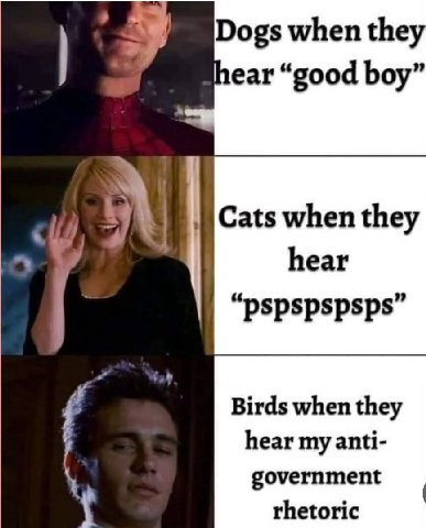Dogs when they hear “good boy” А Cats when they hear “PSPSpspsps” Birds when they hear my anti- government rhetoric