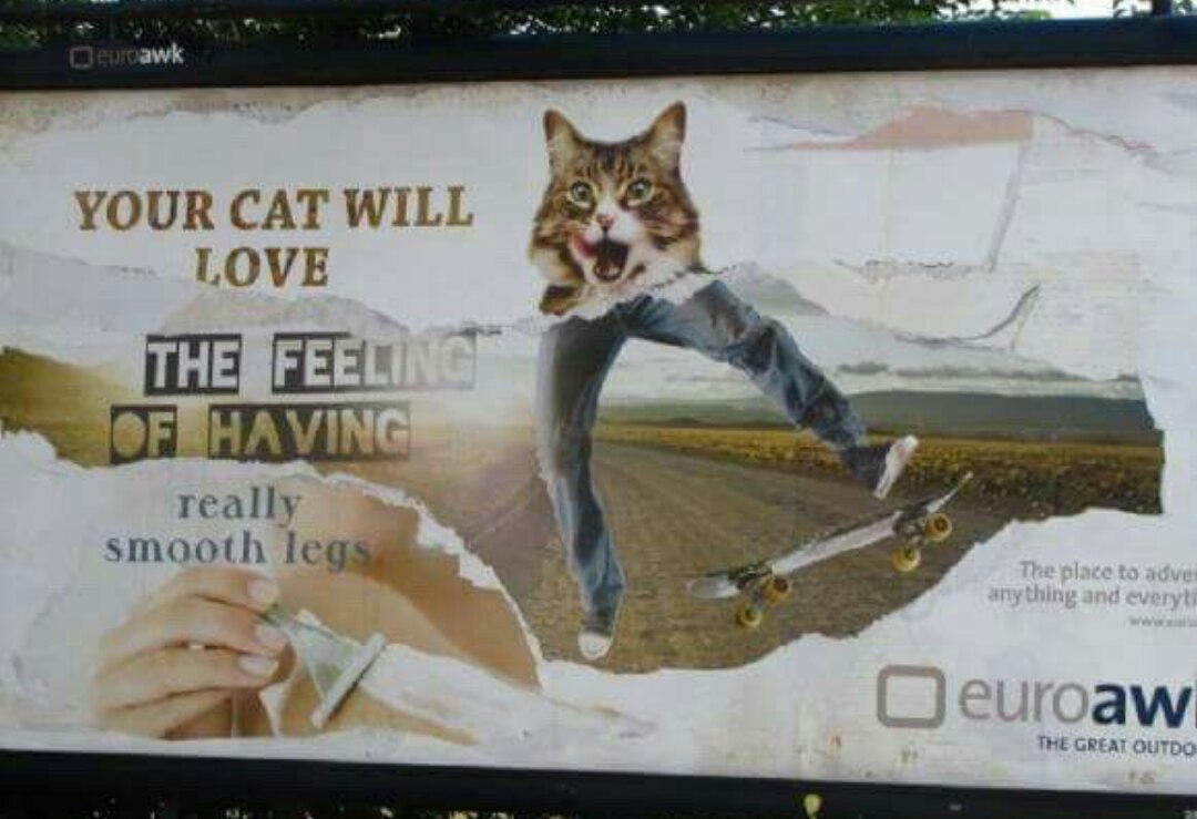 YOUR CAT WILL LOVE ТНЕ really smooth ‚а