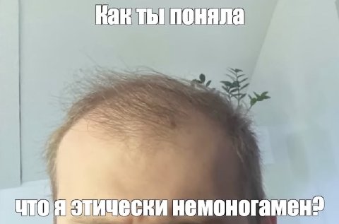 поняла ически немоногамено