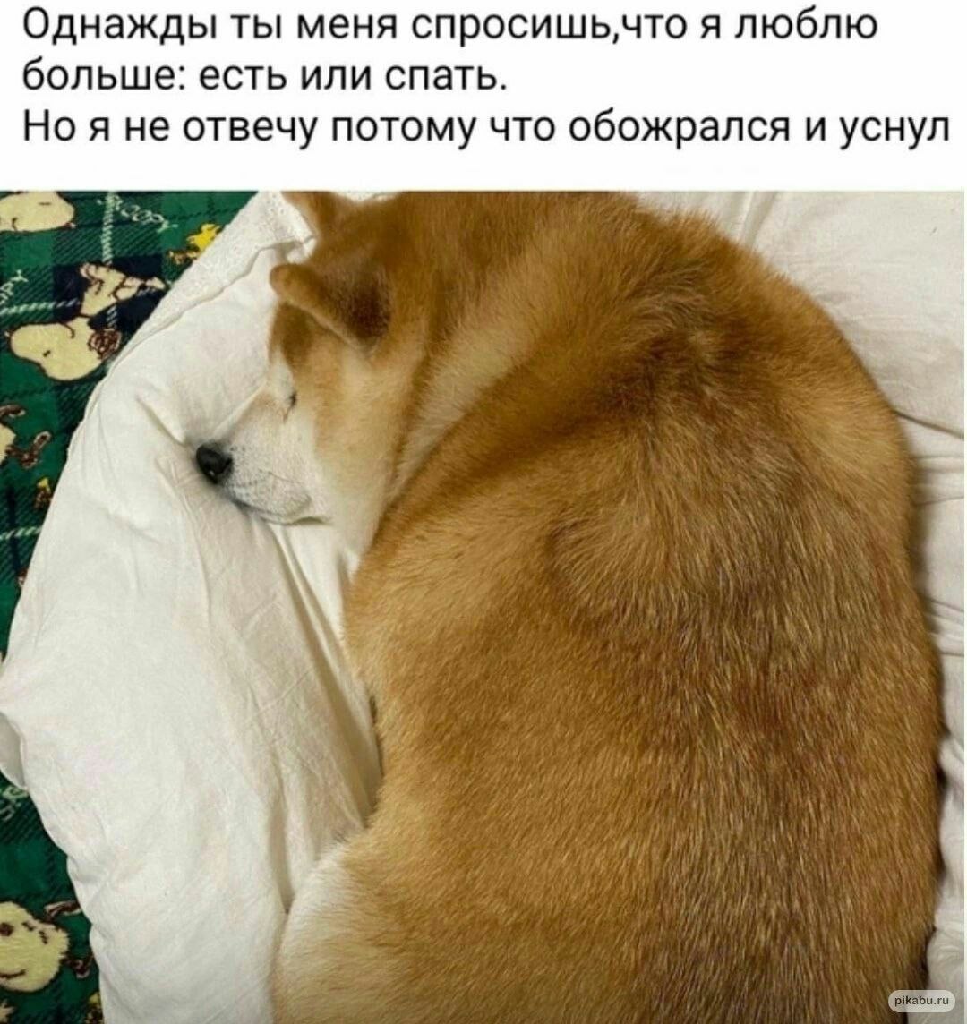 Однажды ты меня спросишьчто я люблю больше: есть или спать. Но я не отвечу потому что обожрался и уснул I 7